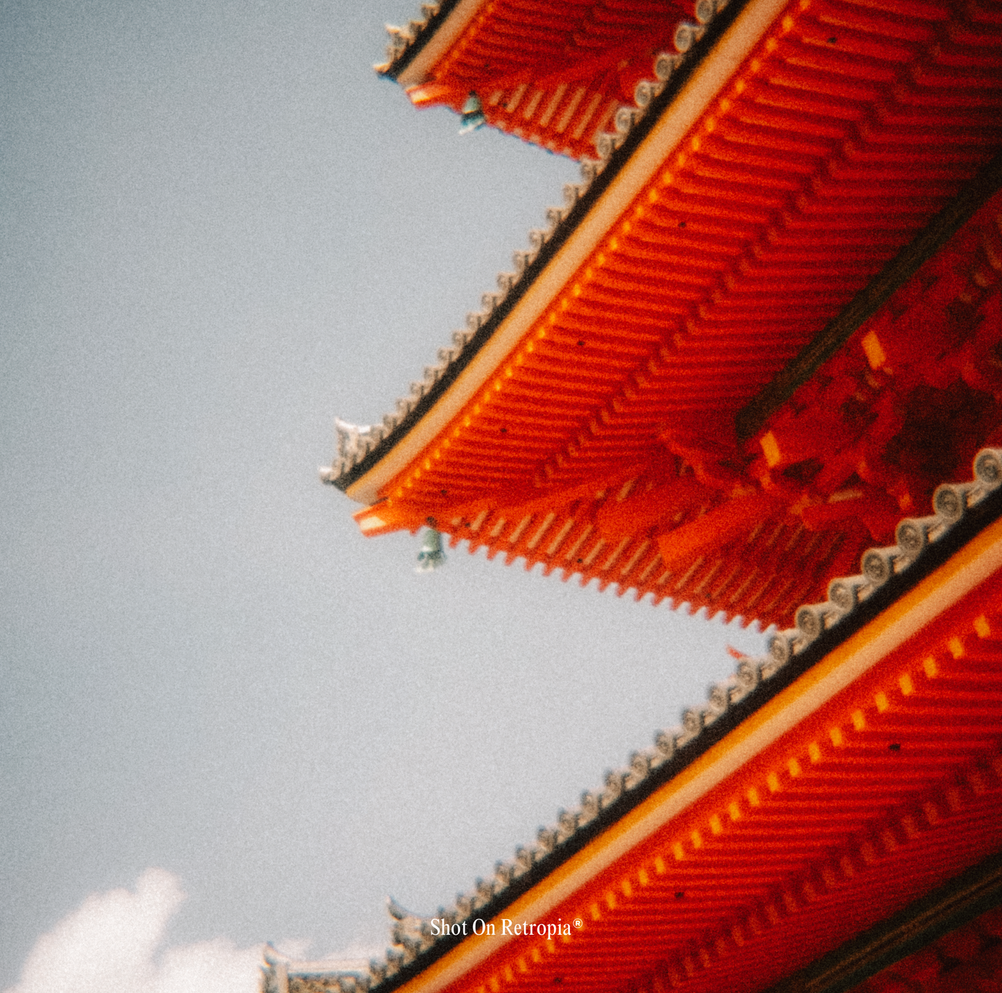 Retropia® Repurposed Disposable Film Camera Lens