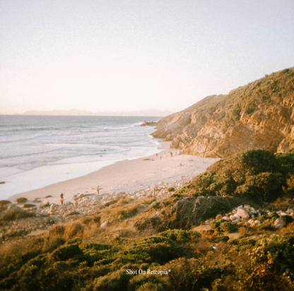 Retropia® Repurposed Disposable Film Camera Lens