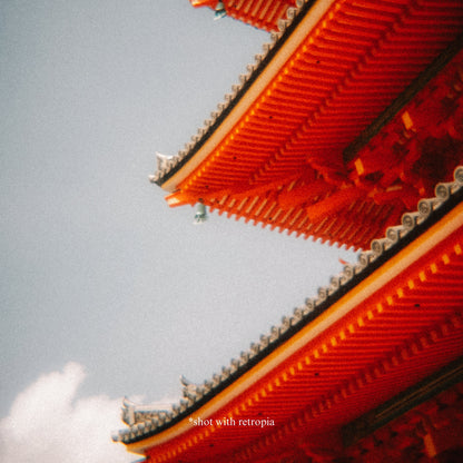 Retropia® Film Emulation Essentials Bundle