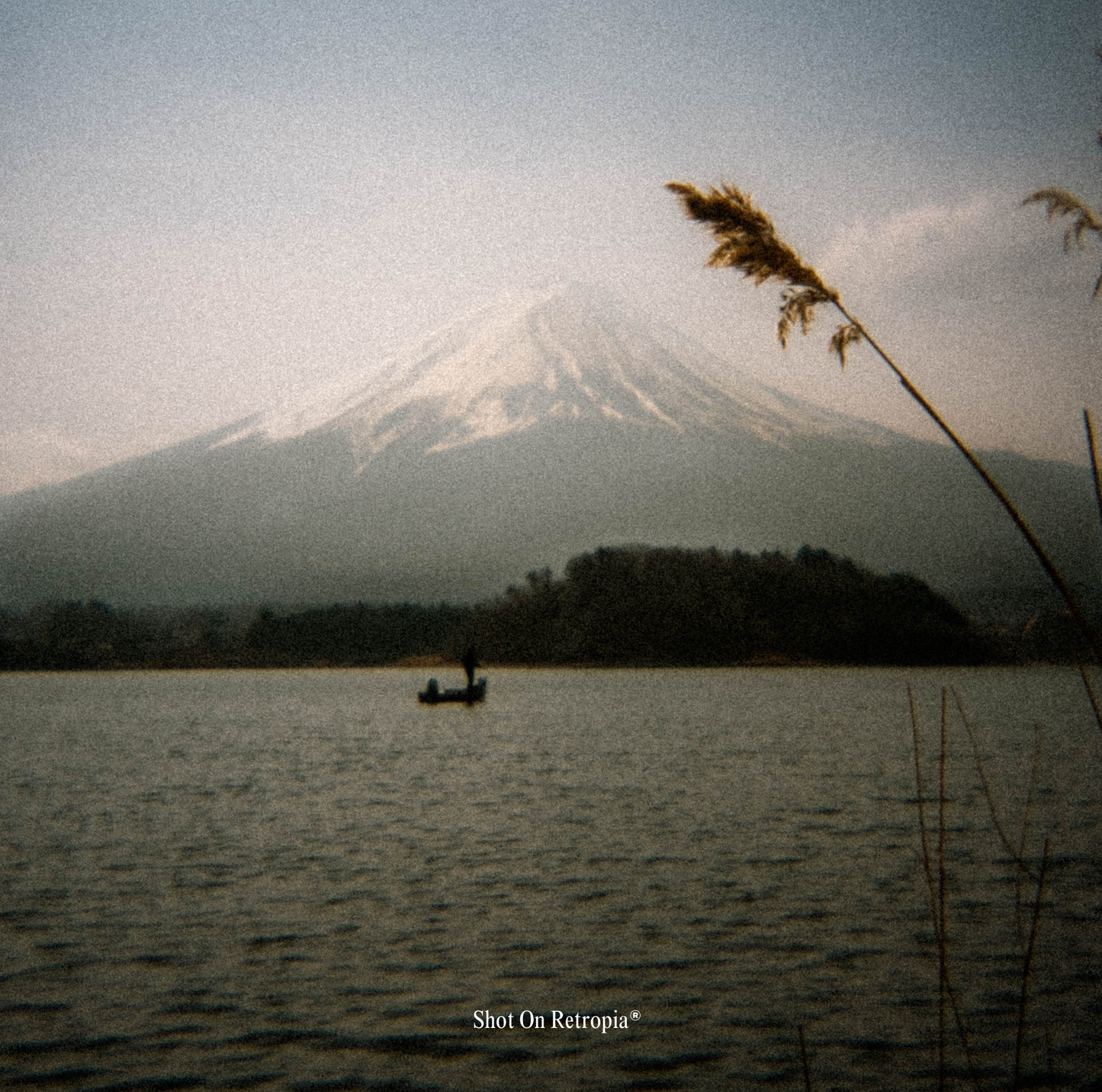 Retropia® Repurposed Disposable Film Camera Lens